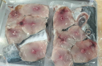 Cá Thu - Thiên Nhiên